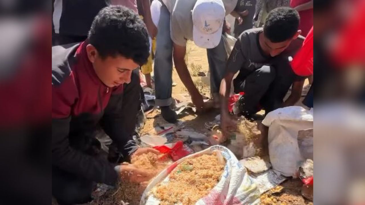 বিমান থেকে ফেলা ধুলোমাখা চাল কুড়াচ্ছে ক্ষুধার্ত ফিলিস্তিনিরা